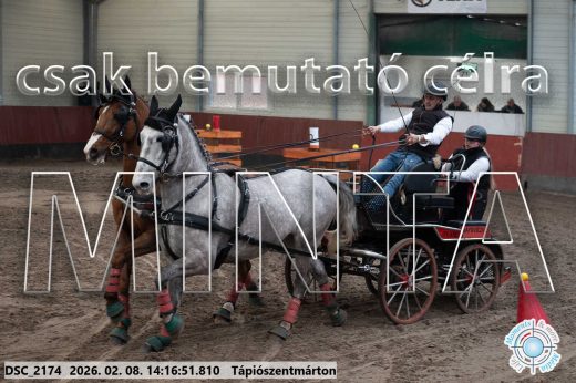 Mintakép 20260208-553