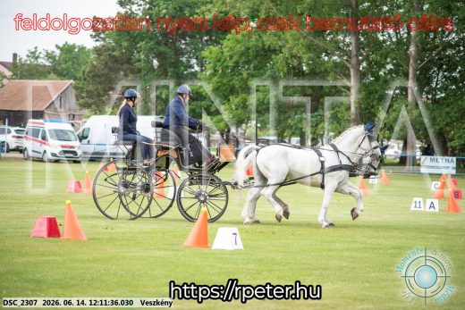 Mintakép 20260614-138