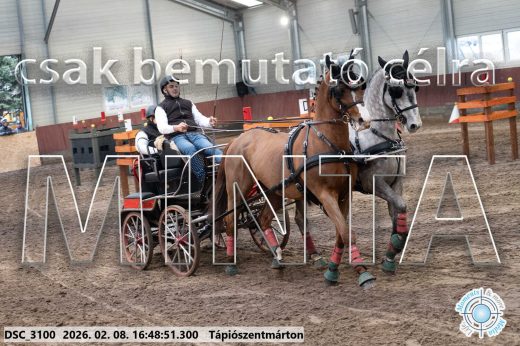 Mintakép 20260208-557