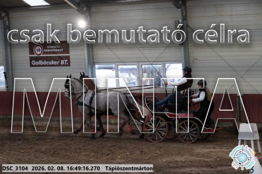 Mintakép 20260208-561