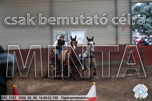 Mintakép 20260208-564