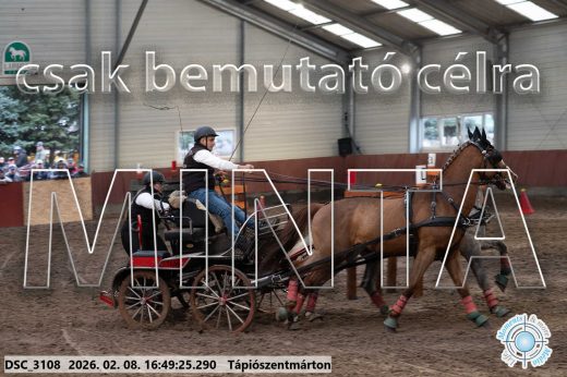 Mintakép 20260208-565