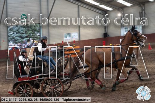 Mintakép 20260208-572