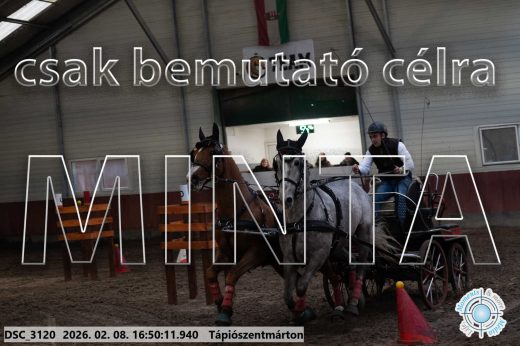 Mintakép 20260208-575