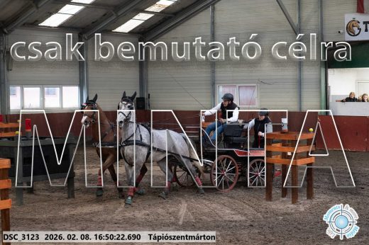 Mintakép 20260208-577