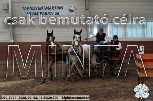 Mintakép 20260208-578