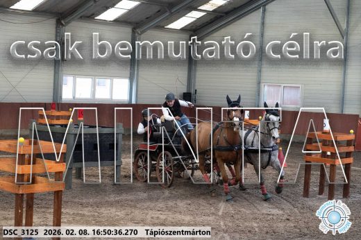 Mintakép 20260208-579