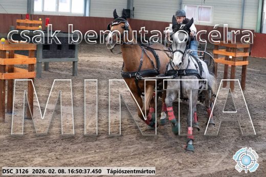 Mintakép 20260208-580