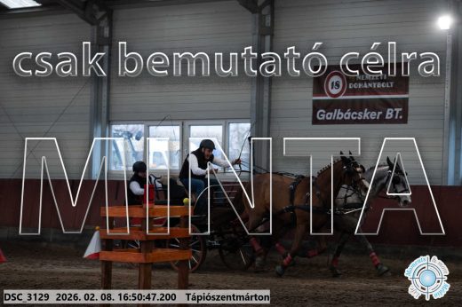 Mintakép 20260208-582
