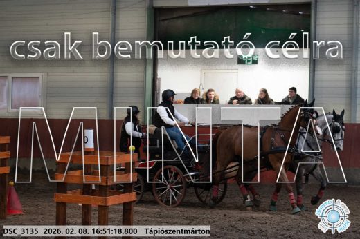 Mintakép 20260208-588
