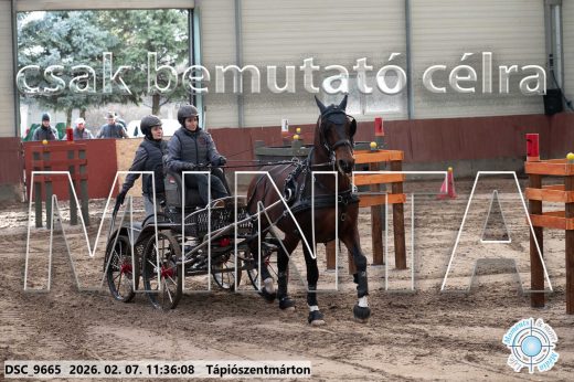 20260207-113608-DSC_9665.jpg