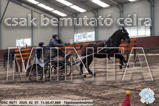 Mintakép 20260207-379