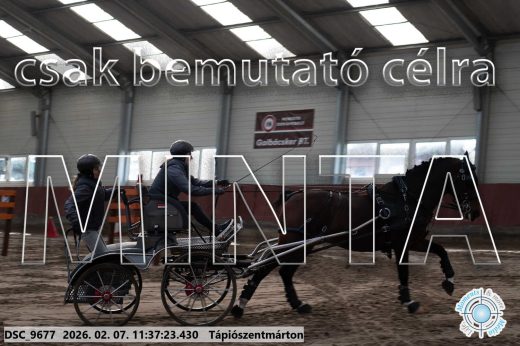 Mintakép 20260207-383