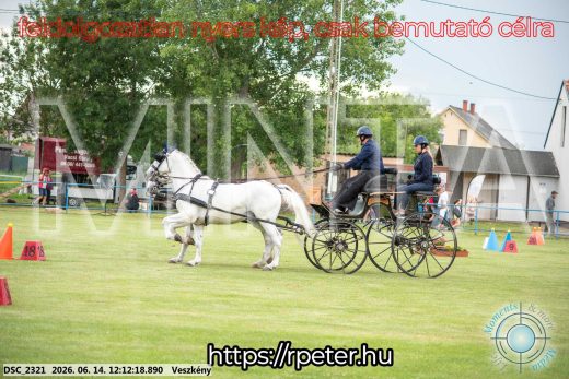 Mintakép 20260614-144