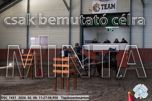 Mintakép 20260208-601