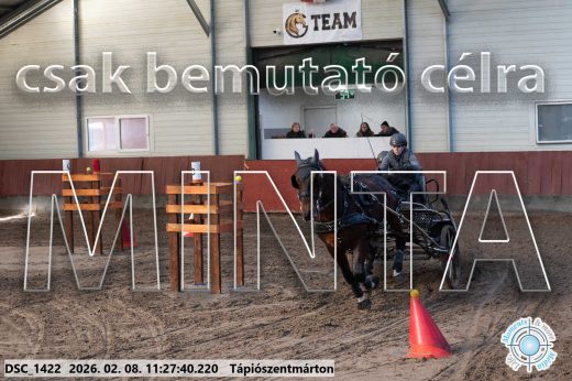 Mintakép 20260208-602