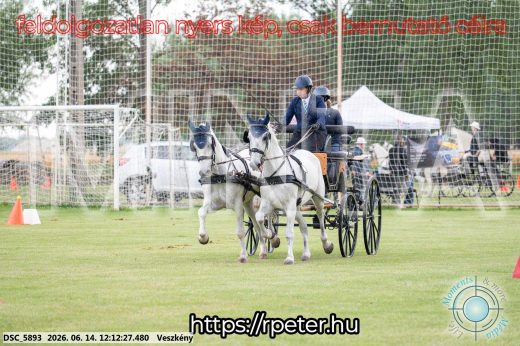 Mintakép 20260614-145