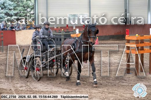 Mintakép 20260208-610