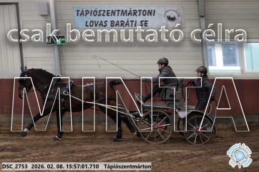 Mintakép 20260208-613