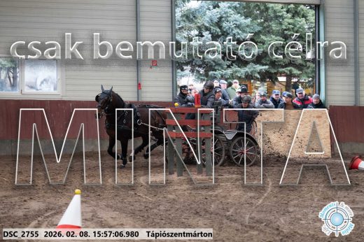 Mintakép 20260208-615