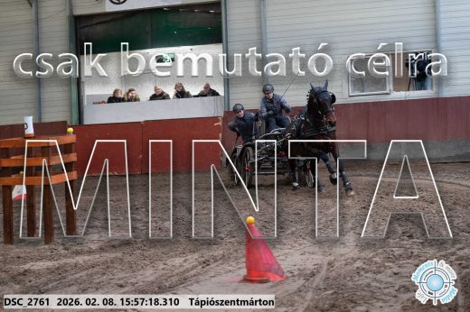 Mintakép 20260208-621