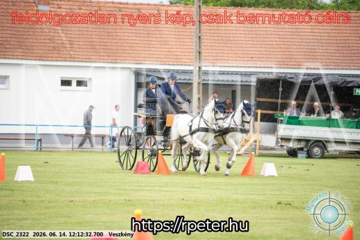 Mintakép 20260614-147