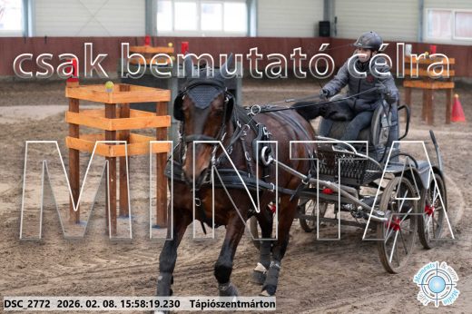 Mintakép 20260208-632