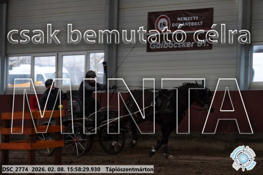 Mintakép 20260208-634