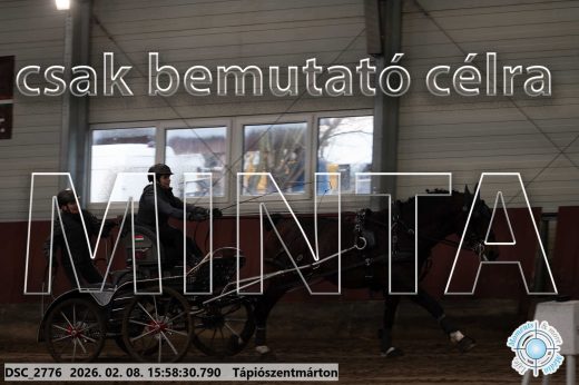 Mintakép 20260208-636
