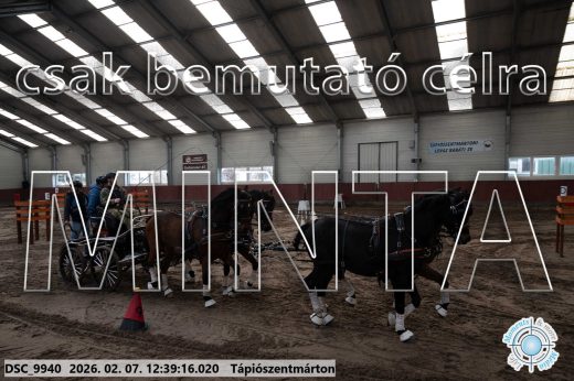 Mintakép 20260207-393