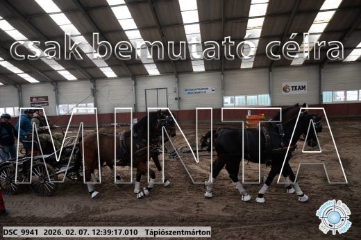 Mintakép 20260207-394