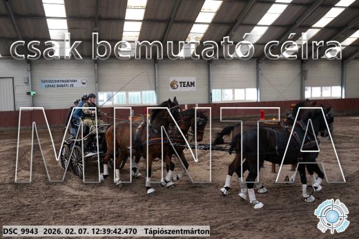Mintakép 20260207-396