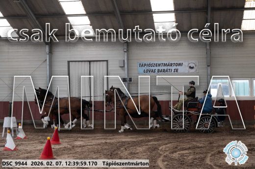 Mintakép 20260207-397