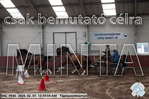 Mintakép 20260207-398