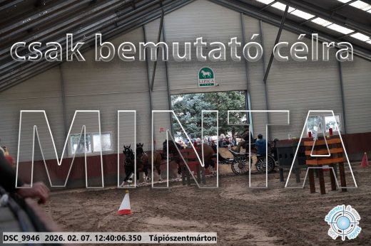 Mintakép 20260207-399