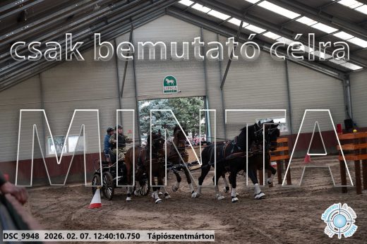 Mintakép 20260207-401