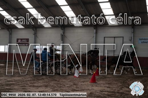 Mintakép 20260207-403