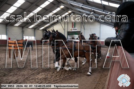 Mintakép 20260207-406