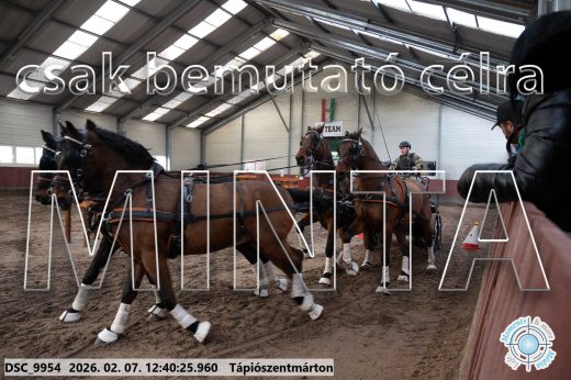 Mintakép 20260207-407