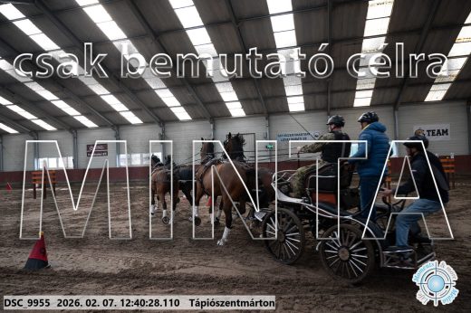 Mintakép 20260207-408