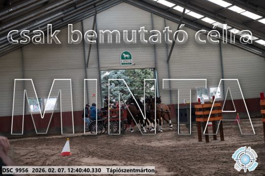 Mintakép 20260207-409