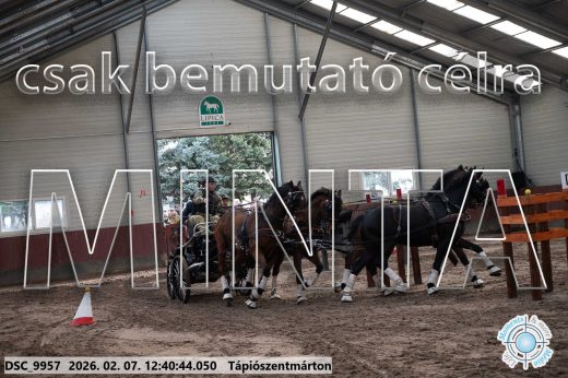 Mintakép 20260207-410