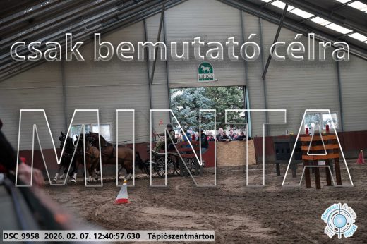 Mintakép 20260207-411