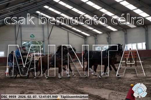 Mintakép 20260207-412