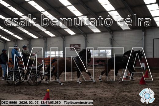 Mintakép 20260207-413