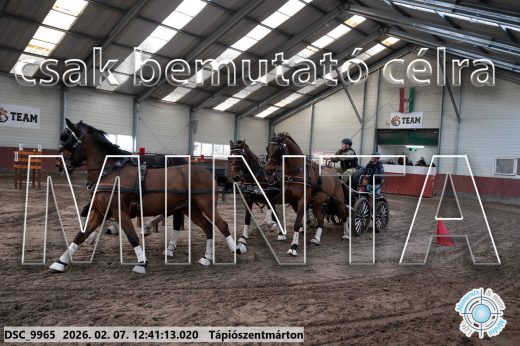 Mintakép 20260207-418