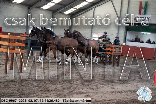 Mintakép 20260207-420