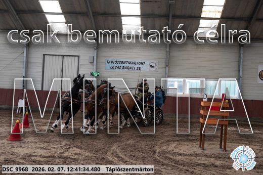Mintakép 20260207-421