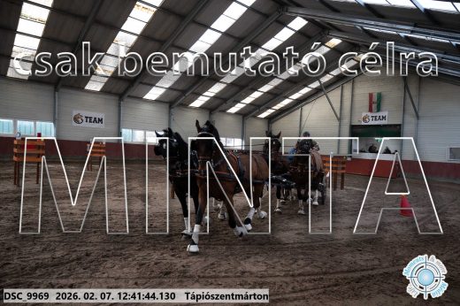 Mintakép 20260207-422