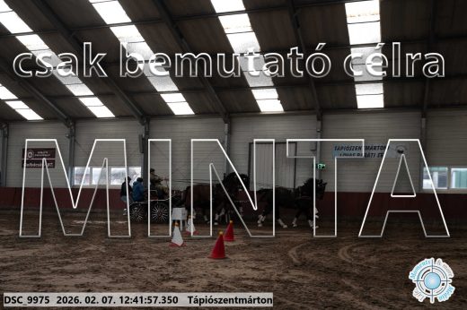 Mintakép 20260207-427